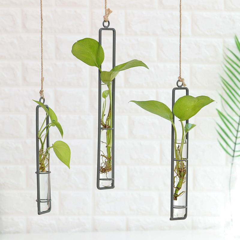 Glass vase plant container wall decoration living room hanging decoration hanging plant